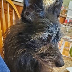 Meet your Posher, Becca